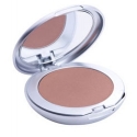 T.LECLERC FOND DE TEINT COMPACT POUDRÉ 04 PRALINE POUDRÉ SPF10